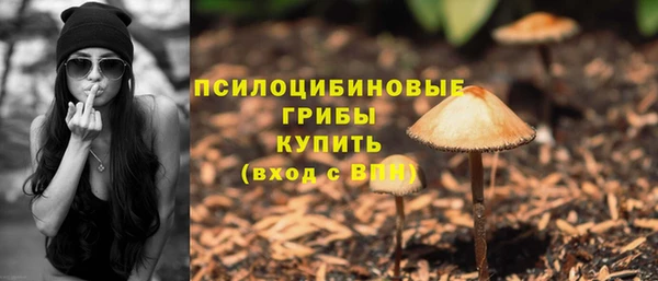 ПСИЛОЦИБИНОВЫЕ ГРИБЫ Алексин