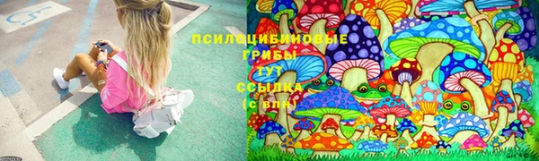 Альфа ПВП Алзамай