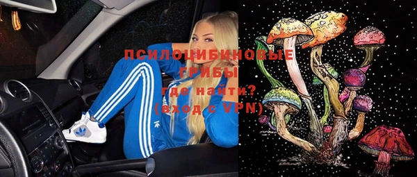 Альфа ПВП Алзамай