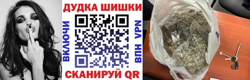 наркотики  Новоалександровск  Бошки Шишки сатива 